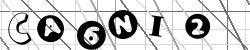 Insert captcha