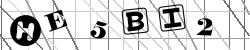 Insert captcha