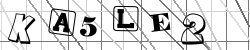 Insert captcha