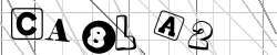 Insert captcha